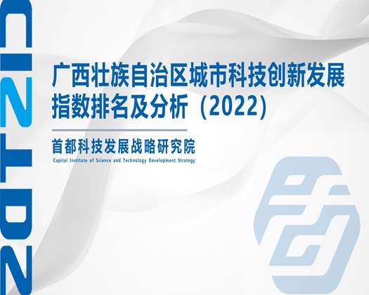 内射美逼【成果发布】广西壮族自治区城市科技创新发展指数排名及分析（2022）